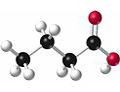 Monomer Molecules